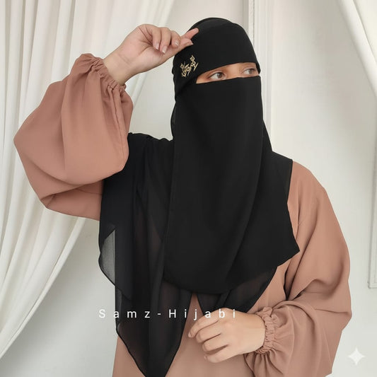 Bint_e_Hawa Embroidery Saudi Naqab